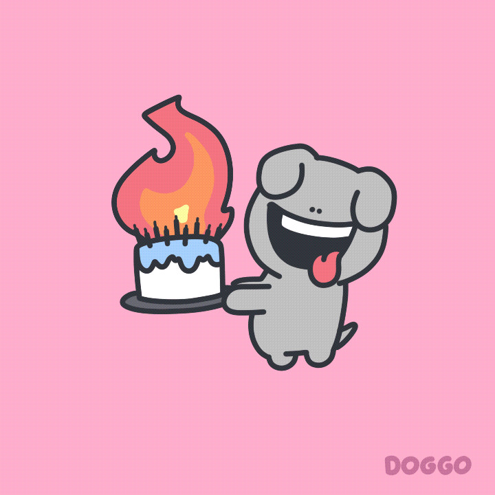 Happy Birthday Fun GIF