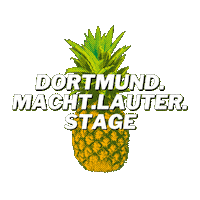 Festival Dortmund Sticker by Juicy Beats