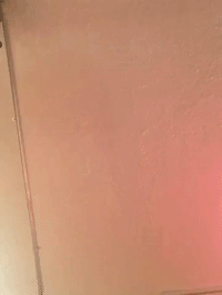 framebeta GIF