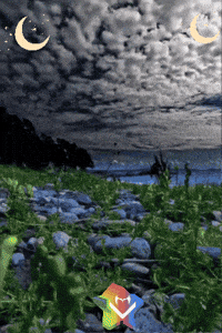 Amigos Paz GIF by Murcianys LLC