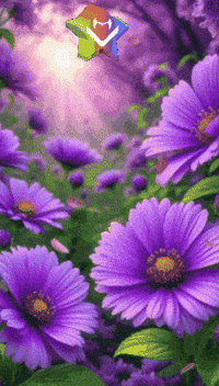 Buenos Dias Flores GIF by Murcianys LLC