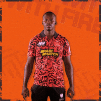 Out Of The Park Maximum GIF by Sunrisers Eastern Cape