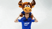 Dance Hoffi GIF by TSG Hoffenheim