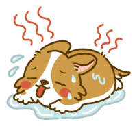 Melting Welsh Corgi Sticker by Lazy Corgi