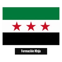 Syria Flag Sticker by Formación Ninja