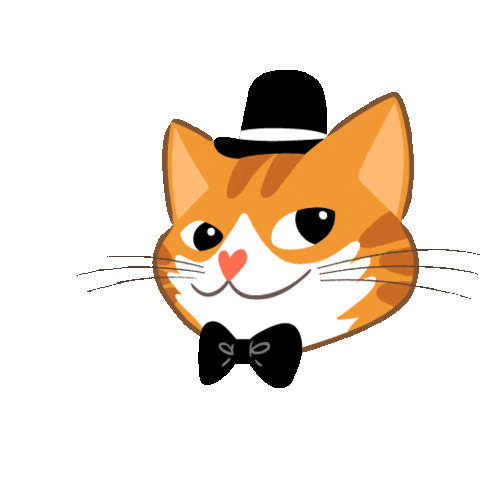 Cat Ok Sticker by Mister Puss