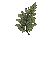 Happy Sticker Sticker by bildundtonfabrik