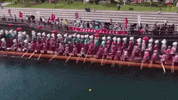 Dragon Boat Festival GIF