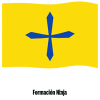 Flag Spain GIF by Formación Ninja