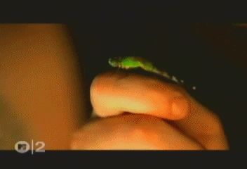 linkin park GIF