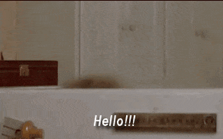 life kids GIF