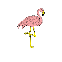 bird flamingo Sticker by ambsn
