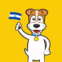 El Salvador GIF by Banco CUSCATLAN
