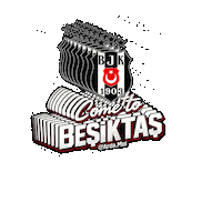 Beşiktaş Sticker