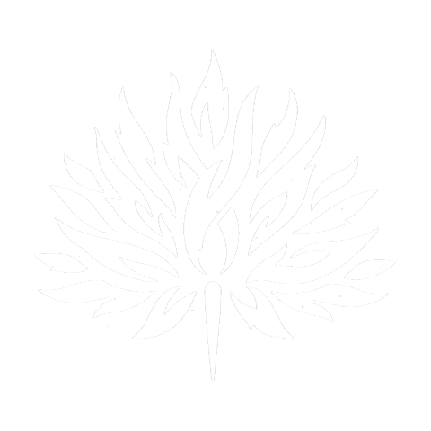 fsforomezcal giphyupload celebration giphystrobetesting cheers Sticker