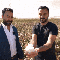 Look Wow GIF by TRT