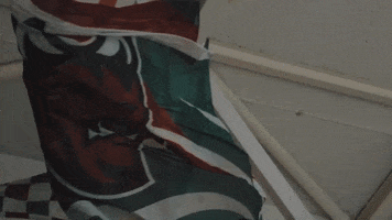 Ice Hockey GIF by Cardiff Devils