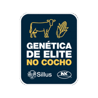 Colheita Silagem Sticker by NK Seeds