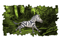 Forest Trees Sticker