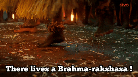 Music Label Forest GIF by Divo Music