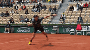 sport jump GIF by Roland-Garros