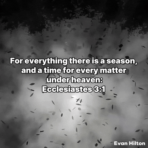 Old Testament Bible GIF by Evan Hilton