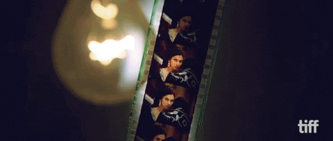 Shah Rukh Khan Bollywood GIF by TIFF