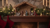 nativity scene gone wild