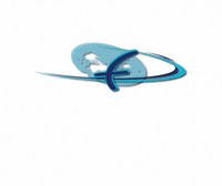 AutolineeFederico bus viaggi federico autolinee GIF