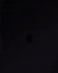 Vasco Tv GIF