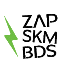ZapSkimBoards zap skim skimboarding skimboards Sticker
