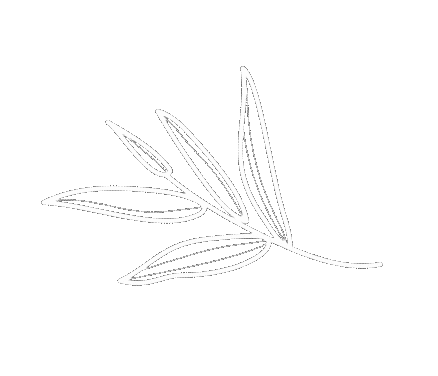 Leaves Vibe Sticker by Conviteria Com Amor