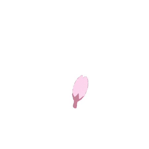 Cherry Blossom Pink Sticker