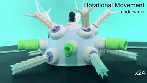 tulsimo giphygifmaker GIF