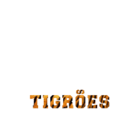 educaÃ§Ã£o Sticker by Tigrinhos e Golden Tigers
