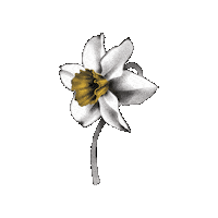 amazingplacescz amazing magazin rockforpeople amazingplaces Sticker