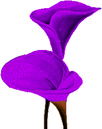 Decoration Heels Sticker