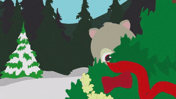Meet The Forest Critters