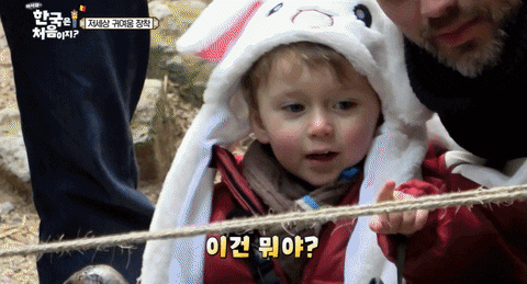 Superace_Kimchi giphyupload GIF