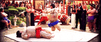 bill murray sumo GIF