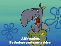 season 4 krusty towers GIF by SpongeBob SquarePants