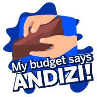 Budget Sticker by Standard Bank