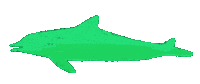 ghostpatrol swim dolphin drawn ghostpatrol Sticker