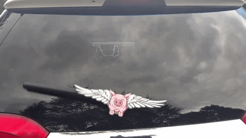 flying pig inspiration GIF by WiperTags