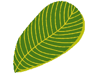 Summer Flower Sticker