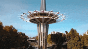 Golden Eagles Oru GIF by Oral Roberts University