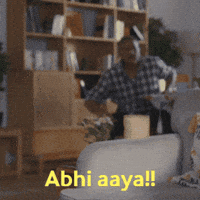 Harry Shelly GIF by The Viral Fever