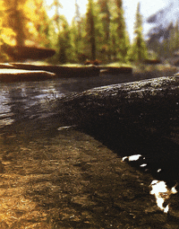 fall river GIF