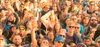 abgt250 GIF