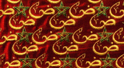 North Africa Star GIF